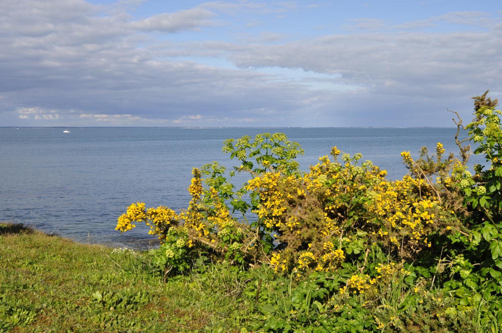 Panorama Vue Mer Киберон Номер фото