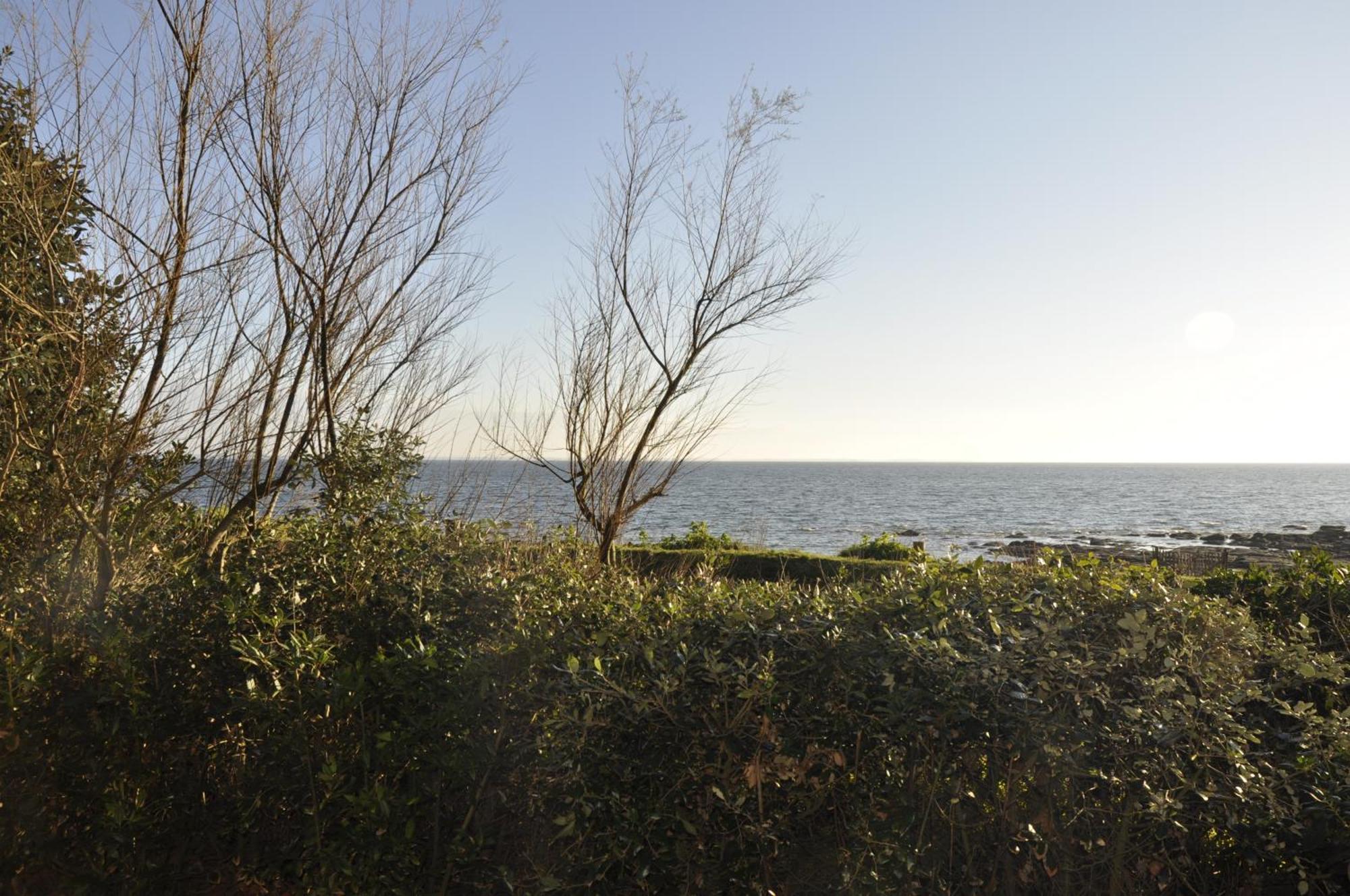 Panorama Vue Mer Киберон Экстерьер фото